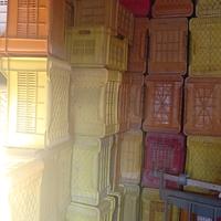 cassette in plastica per agrumi