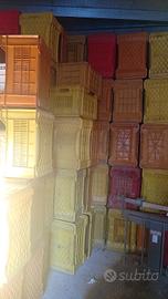 cassette in plastica per agrumi