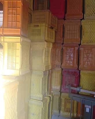 cassette in plastica per agrumi