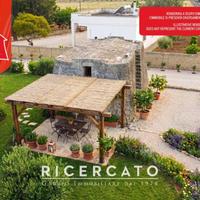 Pajara salentina con uliveto rurale a pochi minuti