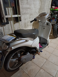 Scuter scarabeo 100
