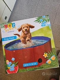 piscina per cani