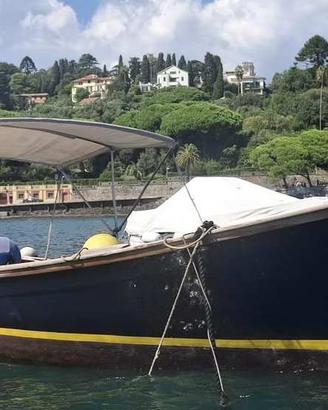 gozzo