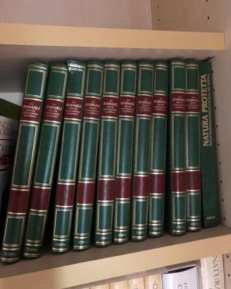 Raccolta  libri animali