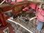 Immagine 26