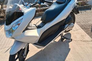Honda PCX 125 - 2010 non trattabile