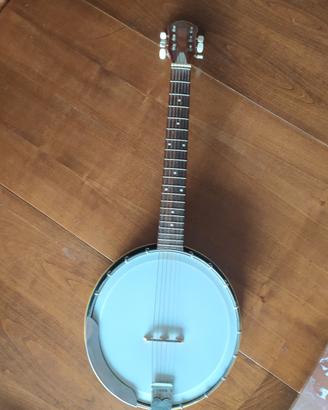 banjo chitarra Eko vintage 