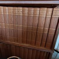 Enciclopedia "MOTTA"