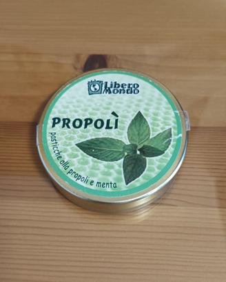 Scatolina di latta LiberoMondo (vuota)