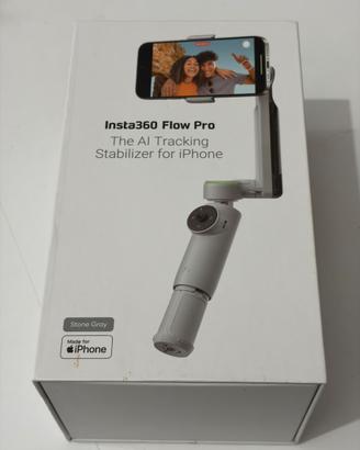 Insta 360 flow pro