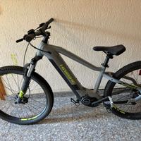 Bici elettrica
