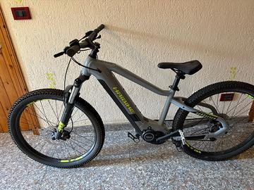 Bici elettrica