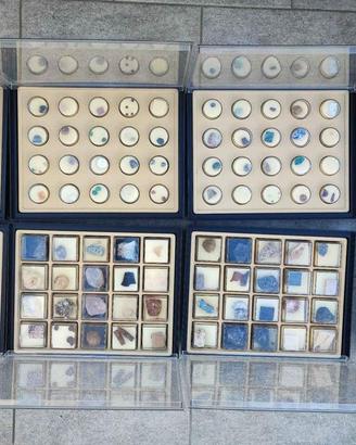 Collezione minerali rocce gemme e fossili
