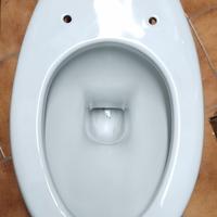 wc serie Tonda ideal standard 