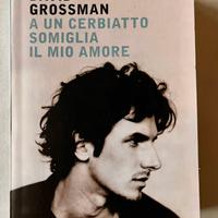 Libro David Grossman