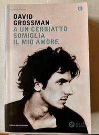 Libro David Grossman