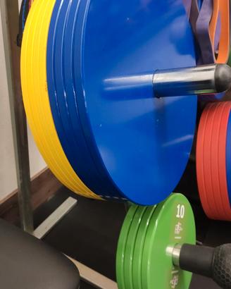 Dischi powerlifting POWERGEAR 20kg 15kg 10kg