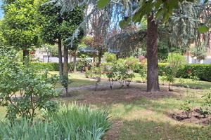 Appartamento zona Morane