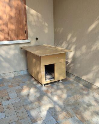  cuccia per cani  taglia media 