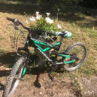 Bicicletta mountain bike bambino