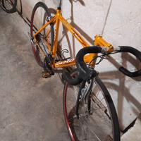 bici da corsa olmo