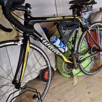 Bicicletta corsa Wilier Mortirolo