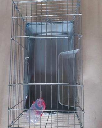 gabbietta per animaletti 
