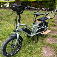 Cargo family ebike