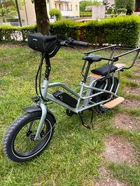 Cargo family ebike