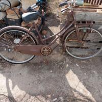 bicicletta Peugeot 