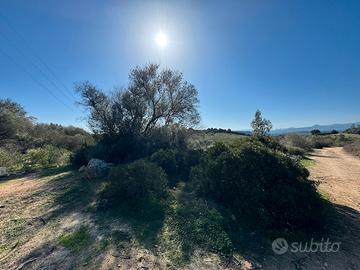 Terreno a due passi dal mare