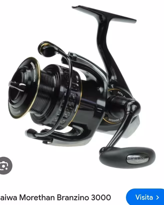 Daiwa mulinelli shimano e daiwa