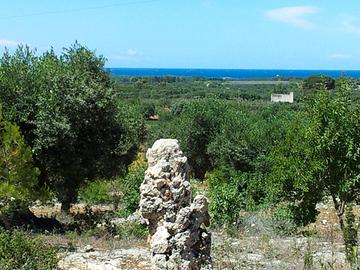 Terreno panoramico