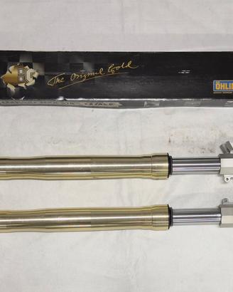 Forcelle Ohvale GP-2 190 con Cartucce Andreani