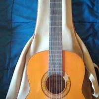 Chitarra Classica Ferrarotti