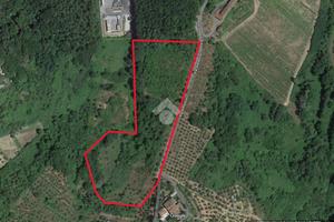 TER. AGRICOLO A PIEVE A NIEVOLE