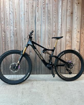 AMFLOW PL carbon pro Tg L