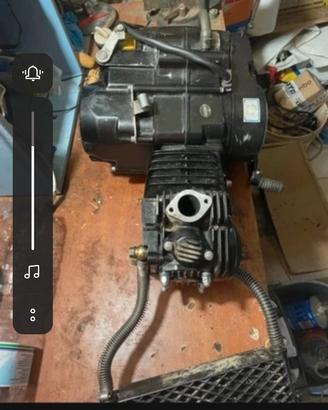motore pit bike