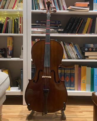 Violoncello Stentor student 1 - 3/4