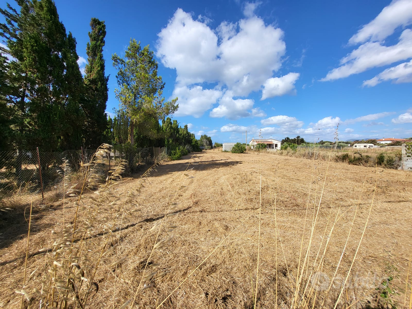 Terreno con casetta 11 mq² accatastata e pozzo - Vista 4