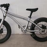 Early rider Seeker X 16" 