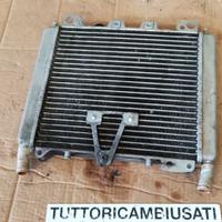Radiatore scarabeo 300 400 500 light