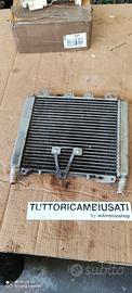 Radiatore scarabeo 300 400 500 light