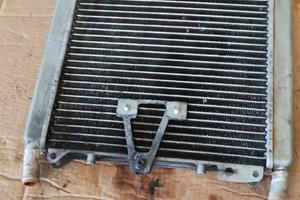 Radiatore scarabeo 300 400 500 light