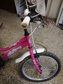 Bicicletta