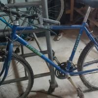 bici da adulto e da bambino 