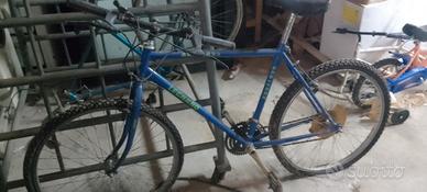 bici da adulto e da bambino 