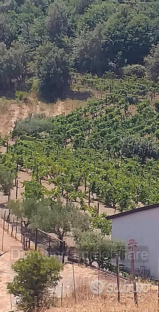 Terreno con fabbricato a Linguaglossa - Vista 3