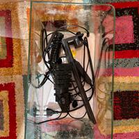 Acquario circa 15 litri