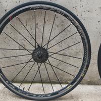 RUOTE BDC FULCRUM ZERO